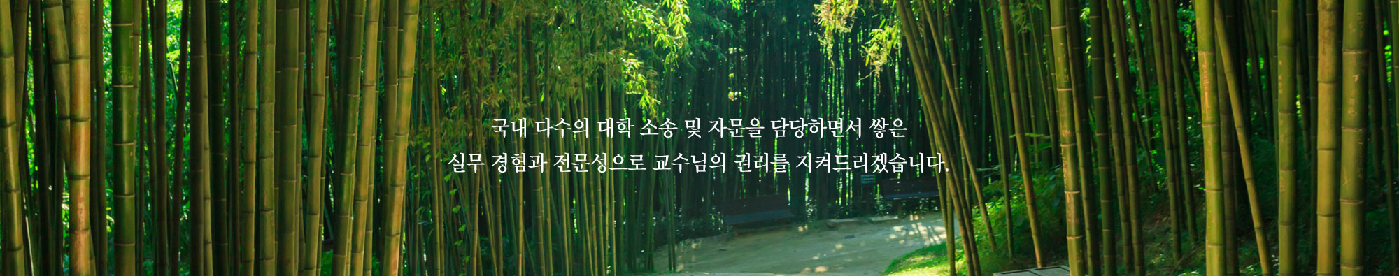 비주얼2